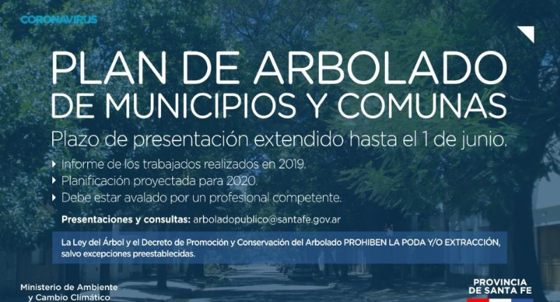 La provincia extendió el plazo de presentación de los Planes de Arbolado | Noticias