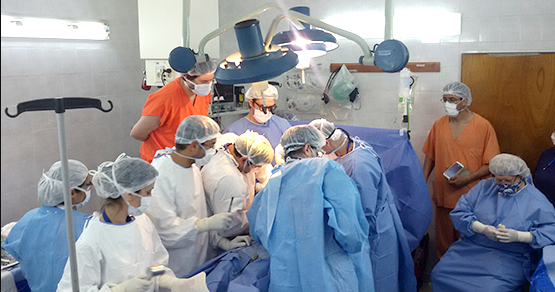 Nuevo logro de la trasplantología santafesina | Noticias