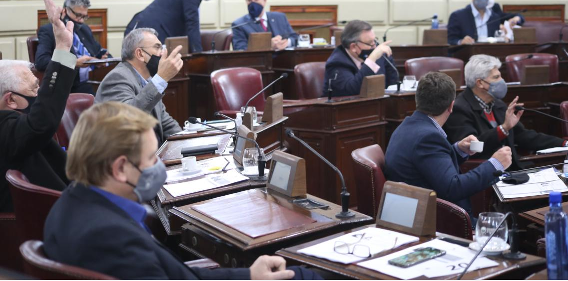 Manifestaciones en el Senado ante la delicada situación de Vicentín | Noticias