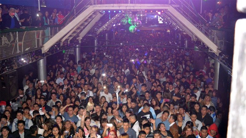 Artistas tropicales marcharán a la Casa Gris para volver a la actividad | Noticias