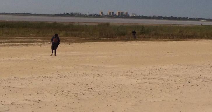 La Municipalidad de Santa Fe retomó el operativo de limpieza en la Costanera | Noticias