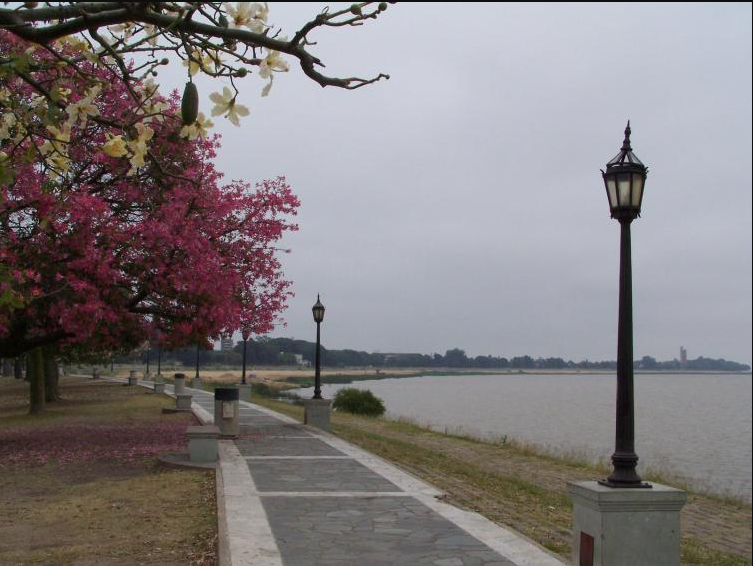 Viernes con cielo algo nublado y fresco en la ciudad | Noticias