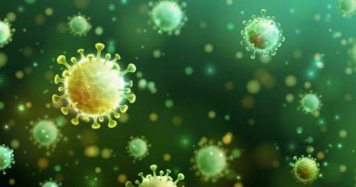 Investigador del Conicet: "El SARS-CoV-2 debe verse como una invasión biológica" | Información General