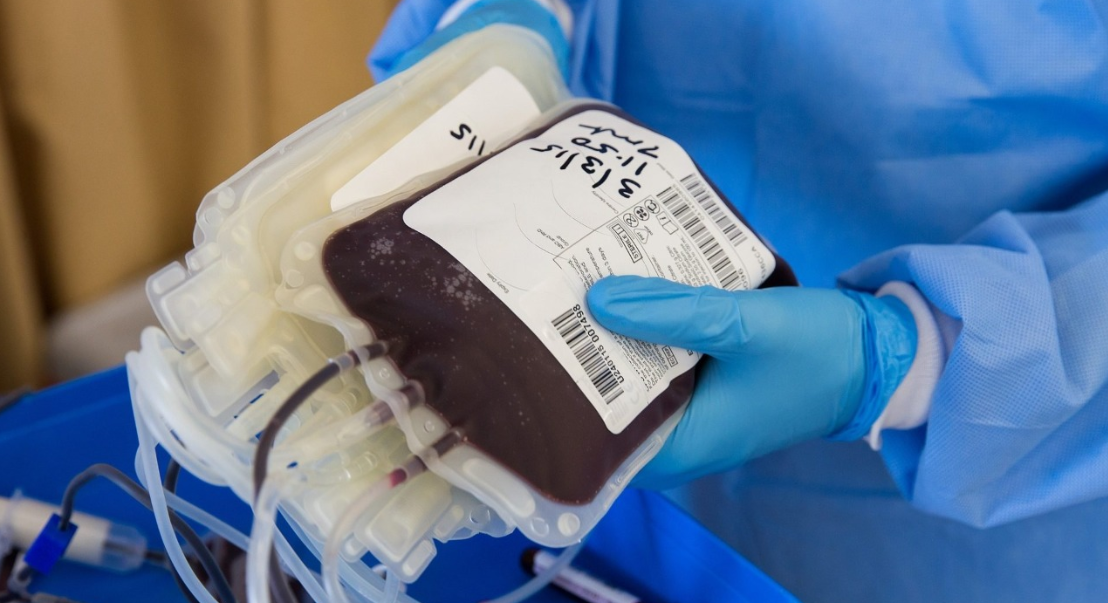 Leve mejoría en dos pacientes con Covid tratados con plasma | Noticias