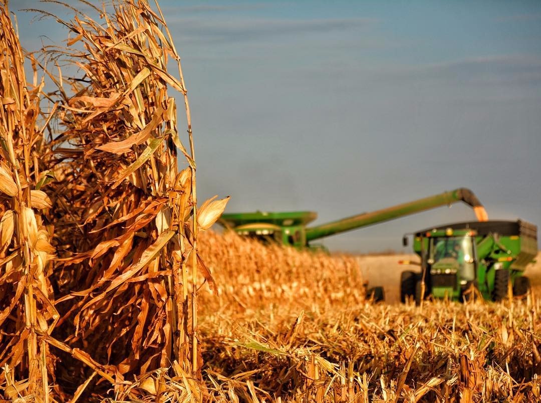 Estiman que la campaña agrícola alcanzará los 138 millones de toneladas este año | Nacionales