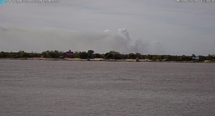 Volvieron las quemas en las islas y enviaron aviones hidrantes | Información General