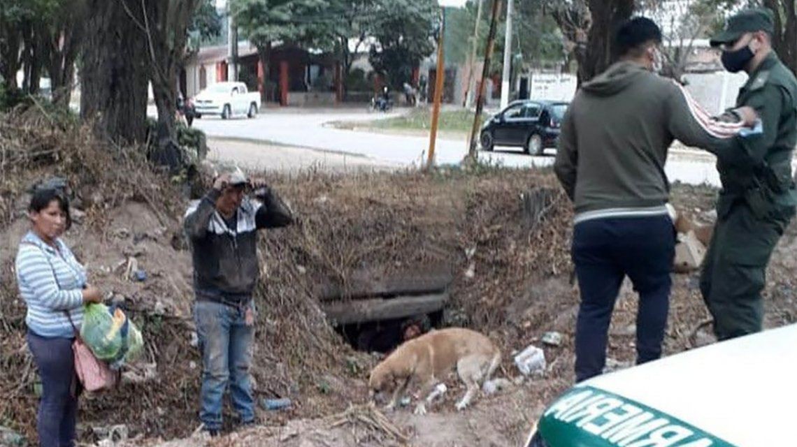 Salta: ciudadanos bolivianos intentaron ingresar al país por una alcantarilla | Nacionales