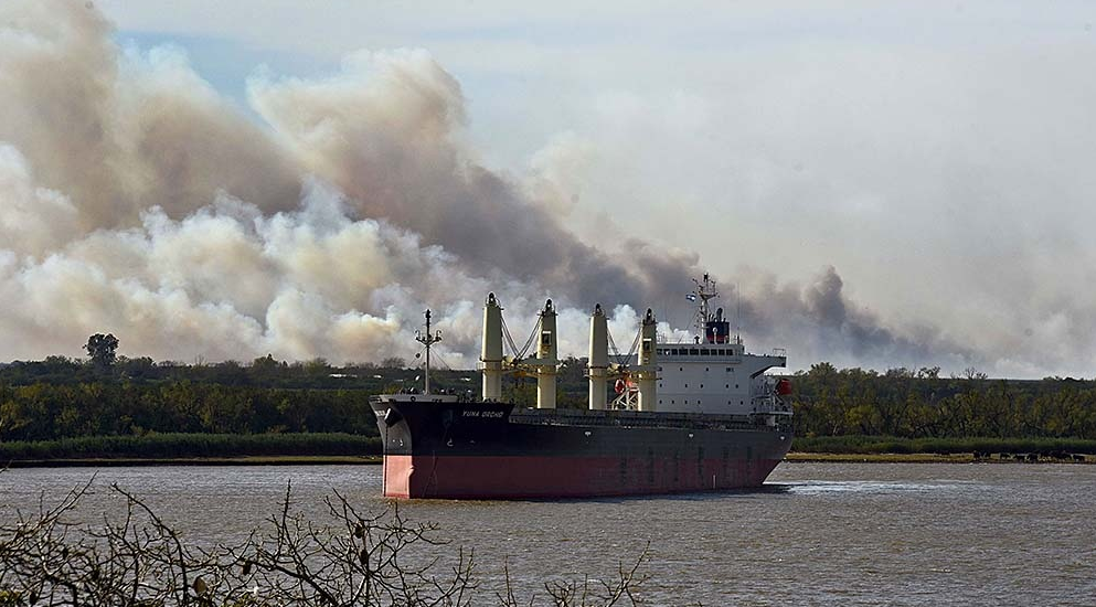 Son 90 mil las hectáreas afectadas por el fuego en islas del Paraná | Noticias