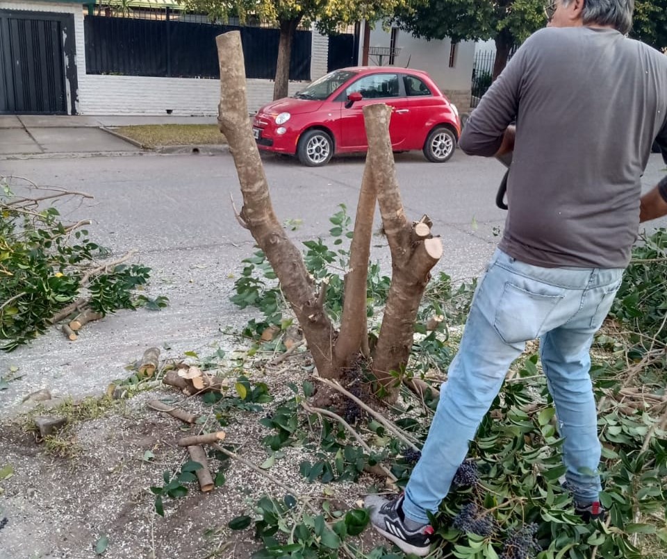 El ex jefe de la EPE de Funes corrió con una motosierra a un inspector | Noticias