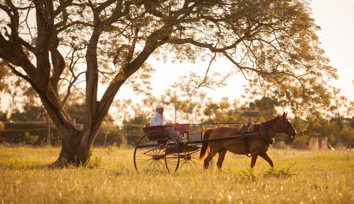 La provincia apoya a la sanción de la Ley de sostenimiento y reactivación del turismo | Noticias