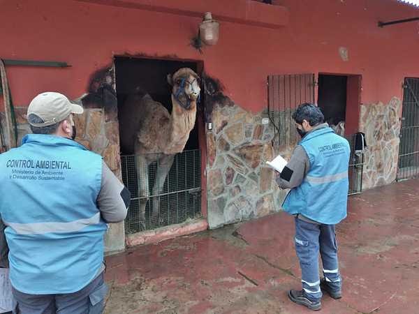 Ratifican el cierre del zoológico de Luján: el Gobierno avanza en su clausura | Nacionales