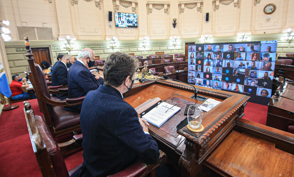 Inédito: Diputados de la provincia realizaron la primera sesión virtual | Legislativas