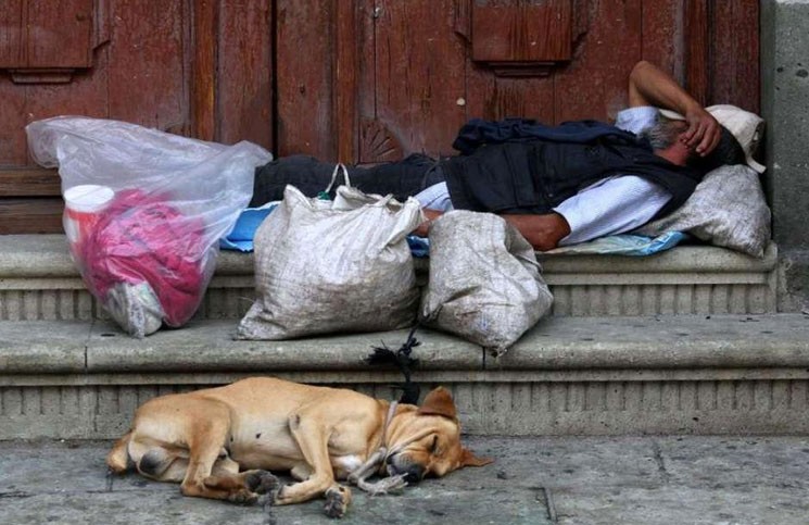 “Una persona recibió una bandeja y la compartió con el animal que tenía” | Noticias
