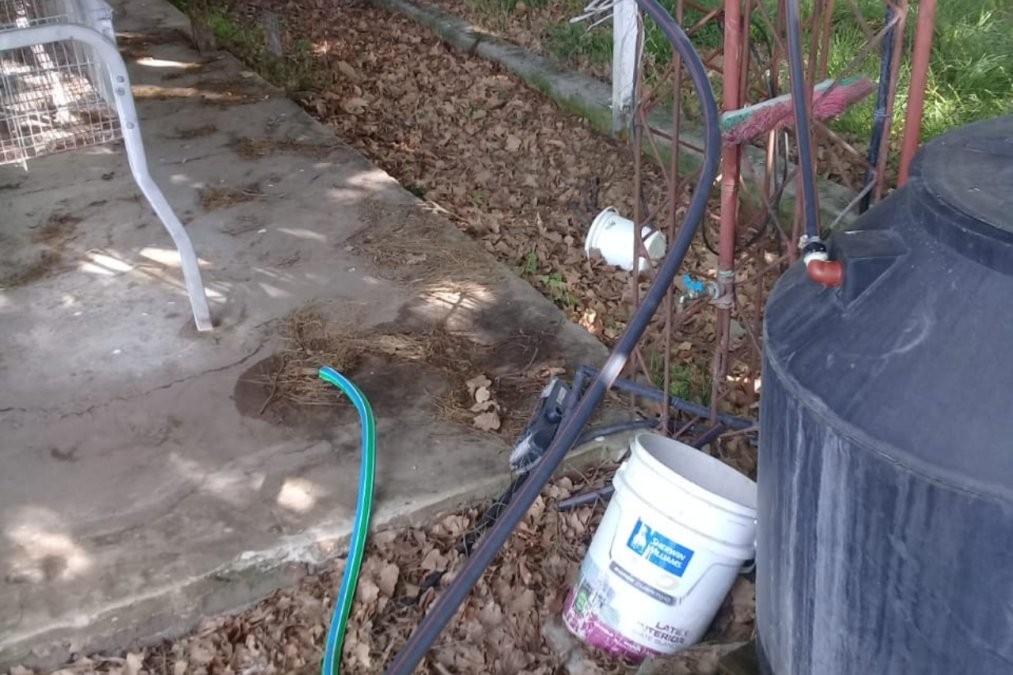 Robo en una escuela agropecuaria: se llevaron el tambo y hasta los caños de agua | Nacionales