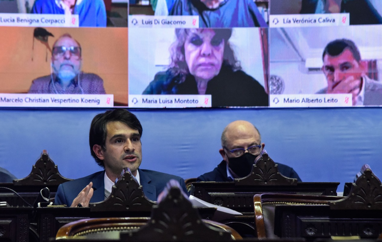 Discapacidad: impulsan un protocolo para retomar los tratamientos presenciales | Legislativas