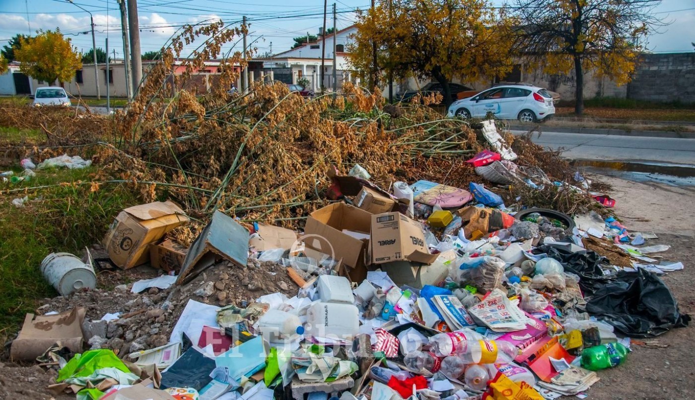 Realizaron el "Mapa de la basura" de Santa Fe | Noticias