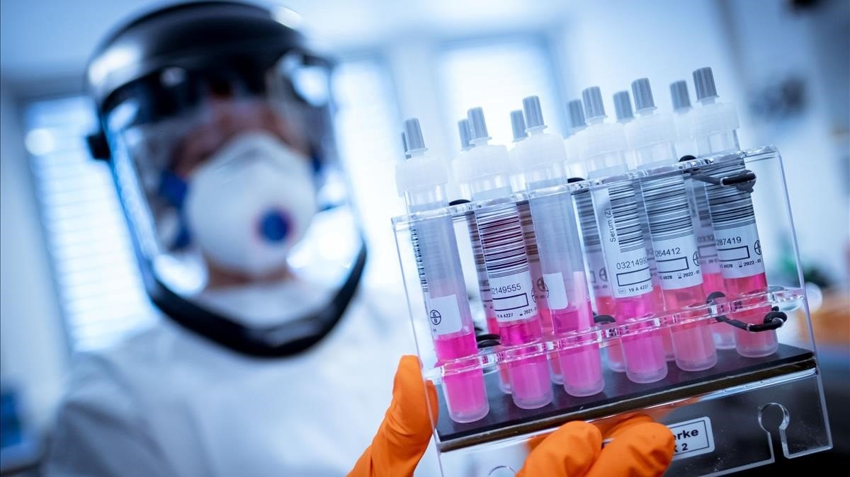 Argentina compró 22 millones de dosis de la vacuna de Oxford | Nacionales