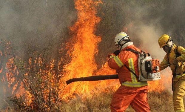 Transfieren la Dirección del Servicio de Manejo del Fuego de la cartera de Seguridad a Ambiente | Nacionales