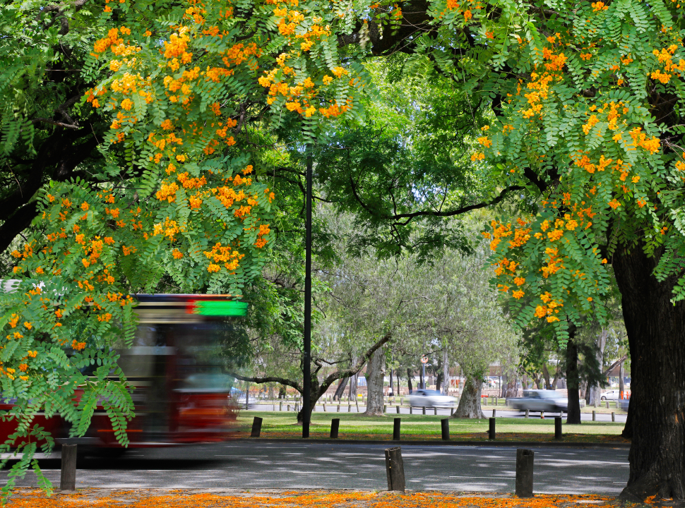 ¿Por qué lloran con "lágrimas dulces" las tipas de Buenos Aires? | Información General