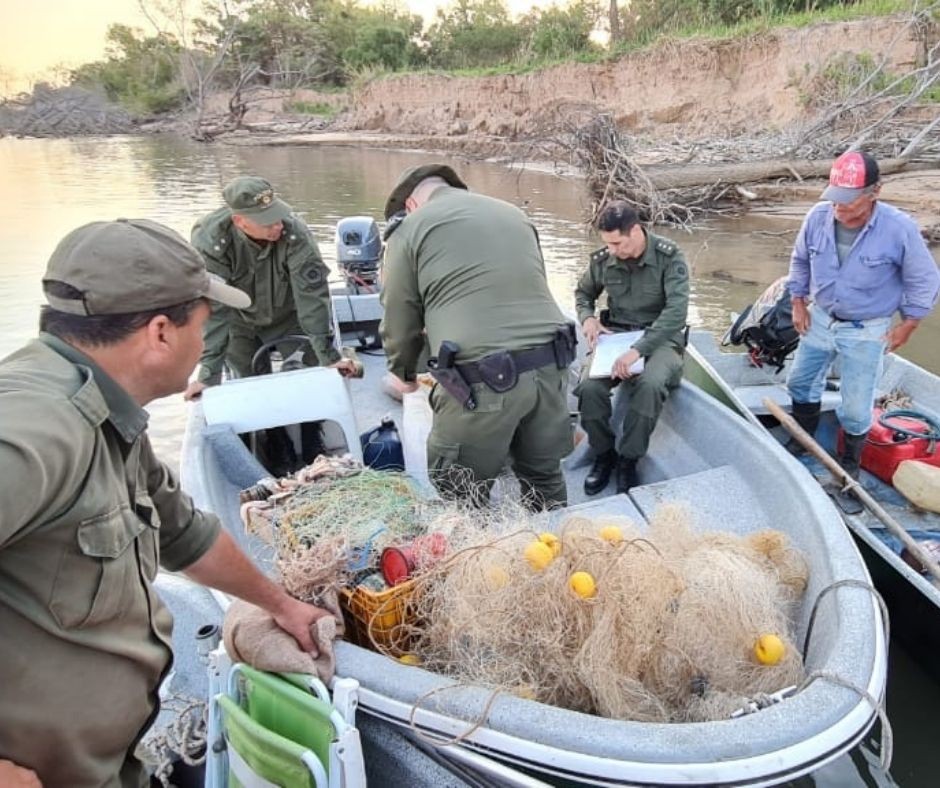 Los Pumas evitaron la depredación de dorados y armados en el río Paraná | Noticias