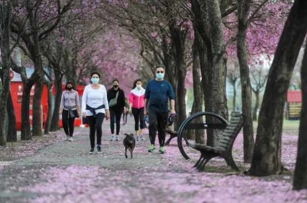 La ministra de Salud advierte que habrá que cuidarse hasta julio | Noticias