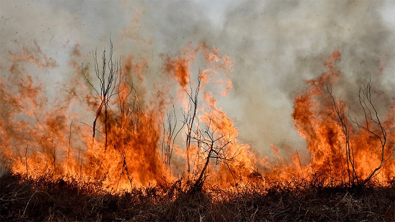 Senadores aprobaron las modificaciones a la Ley de Manejo del Fuego | Noticias