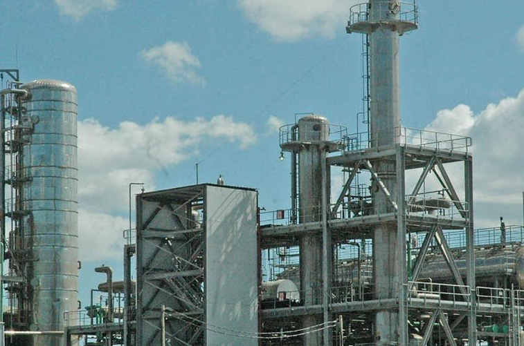 Piden actualizar los precios del biocombustible para poder funcionar | Noticias