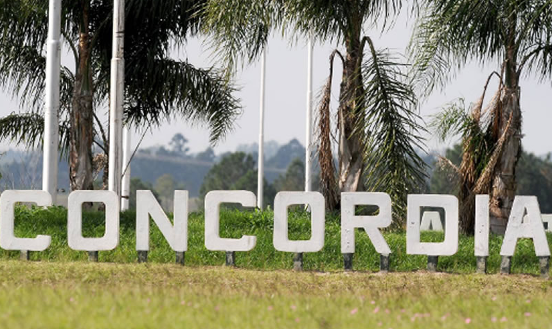 Concordia: Murió una niña que cayó de la ventanilla de un auto | Información General