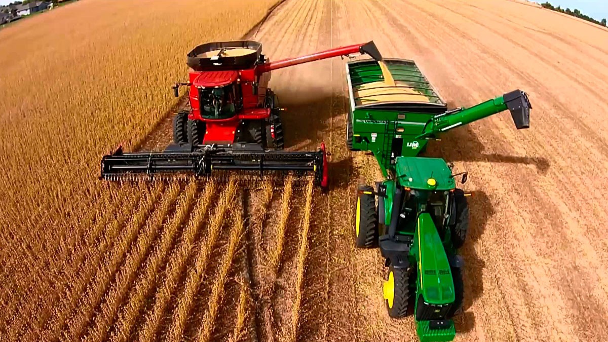 La actividad económica de la provincia retrocedió 2% en septiembre | Noticias