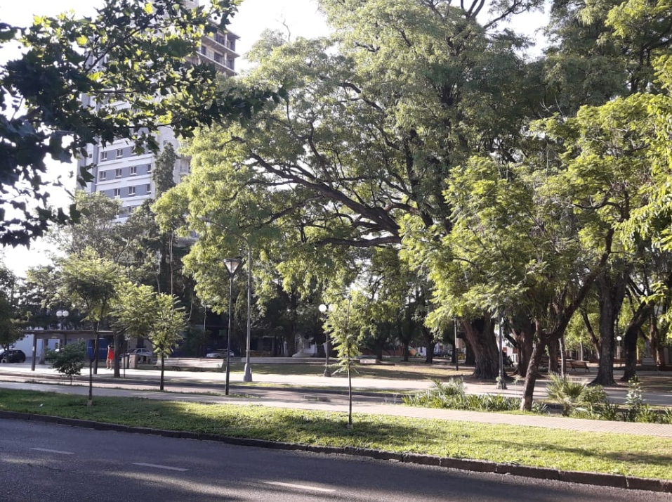 La última semana del año empieza con jornadas agobiantes en la ciudad | Información General