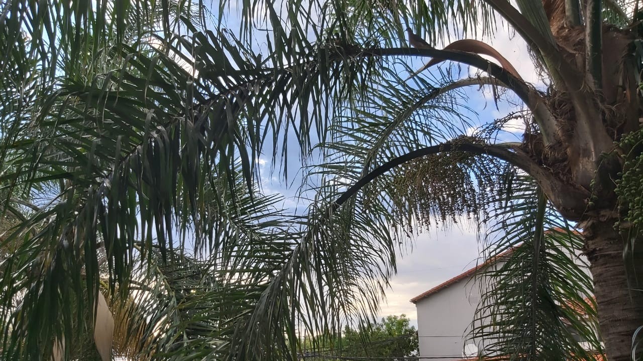 Algo inestable la mañana del jueves y bajo alerta amarilla: cuándo llegarían las tormentas | Información General