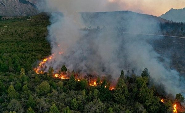 Incendio fuera de control en El Bolsón y preocupa que llegue a Chubut | Nacionales