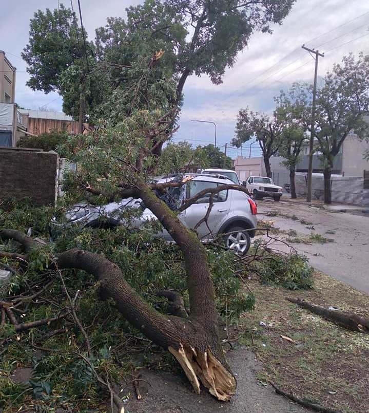 Un tornado de baja intensidad se registró en la madrugada en Venado Tuerto | Noticias