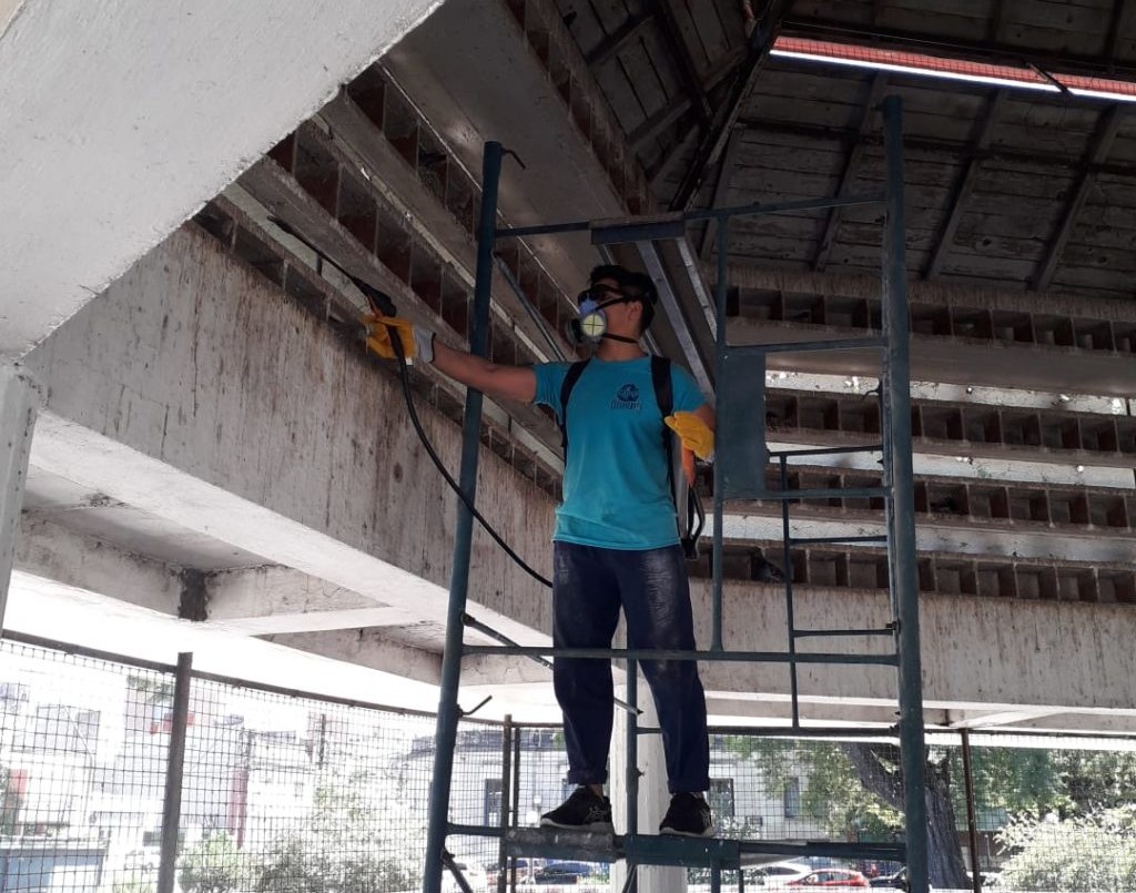 Limpieza del Palomar: la Municipalidad extrajo 700 kilos de residuos | Noticias