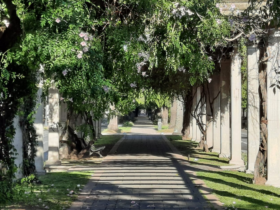 Viernes con cielo despejado y caluroso en la ciudad | Información General