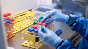 La Unsam aclaró que avanza con los estudios de fase 1 de una vacuna contra el coronavirus | Noticias