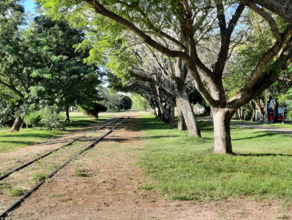 El tiempo en Santa Fe: mucho calor para este viernes y también el fin de semana | Información General