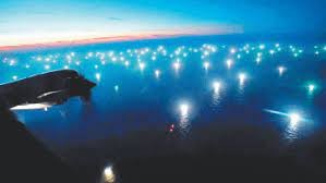 Presentan demanda ante la Corte Suprema para frenar "pesca ilegal y depredación" | Nacionales