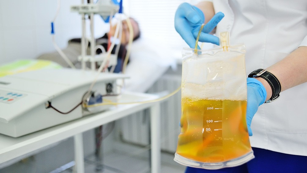El Gobierno bonaerense convoca a pacientes recuperados a donar plasma ante segunda ola de coronavirus | Nacionales