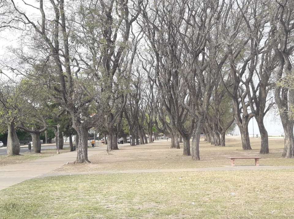 El tiempo en Santa Fe: cielo con alguna nubosidad y algo inestable hacia la noche | Información General