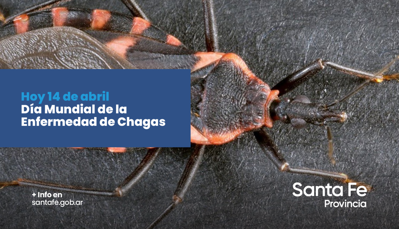 El Ministerio de Salud realizó recomendaciones para evitar la enfermedad de Chagas | Información General