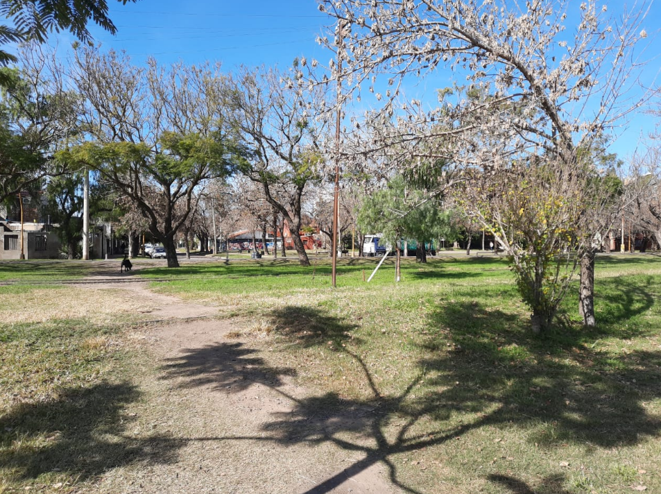 El tiempo en Santa Fe: seguirá estable por lo menos hasta el sábado | Información General