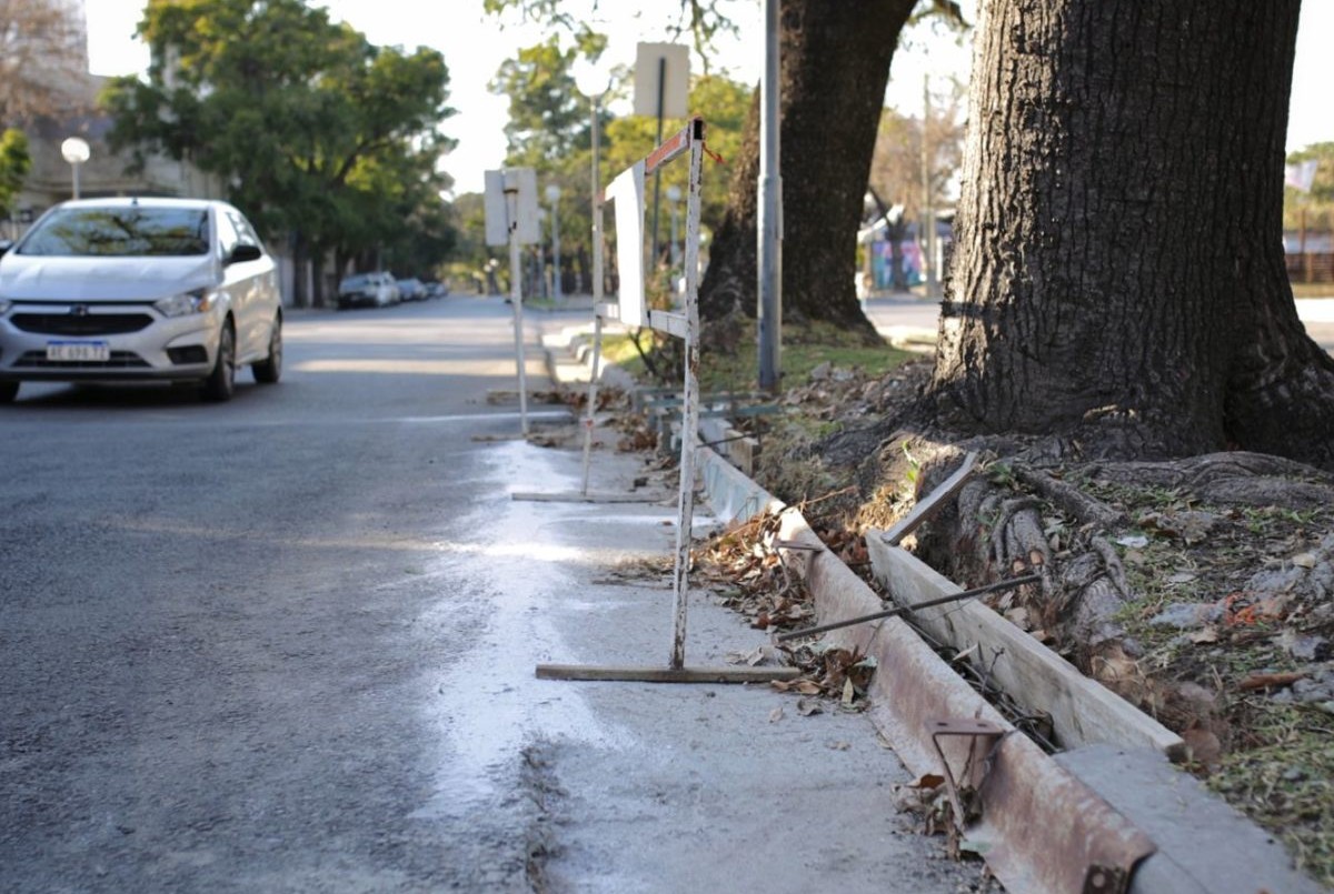 Por el plan de bacheo, habrá cortes y desvíos de colectivos en Avenida Peñaloza | Información General