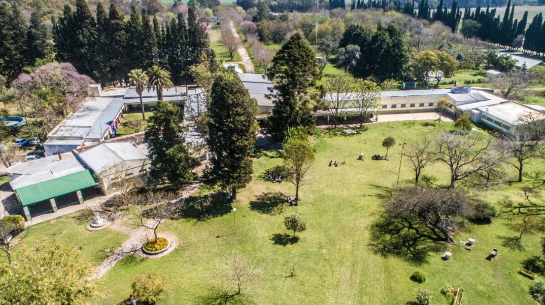 El sistema preuniversitario de la UNL continuará sus clases de forma virtual | Noticias
