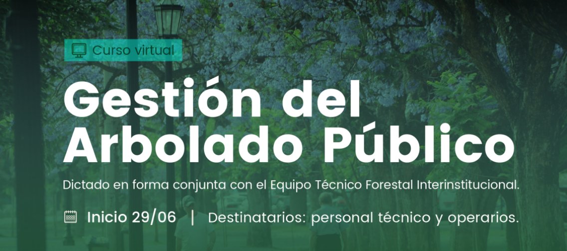 La provincia lanza un curso de Gestión del Arbolado Público | Información General