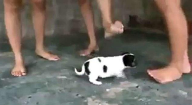 Tres años de prisión a un hombre que determinó a otras personas a realizar “crush fetish” | Judiciales