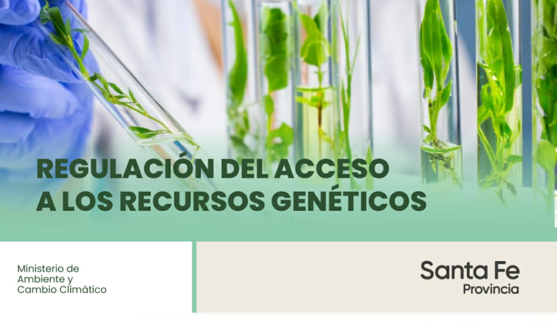 Santa Fe implementa un protocolo para el resguardo de los recursos genéticos | Noticias