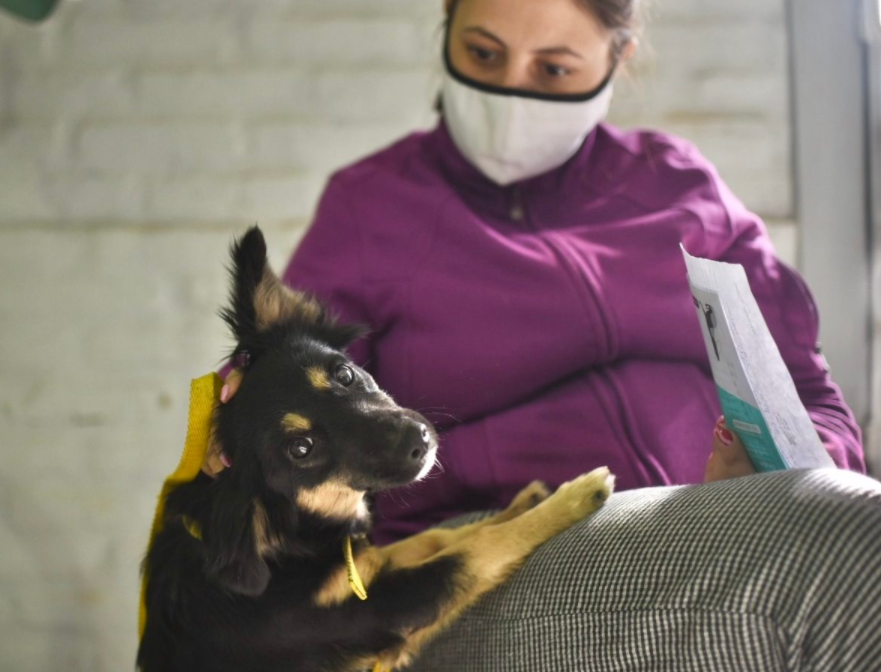 Cronograma de castraciones de la próxima semana | Información General