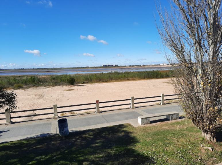 El tiempo en la ciudad: cielo con poca nubosidad y ascenso de a temperatura | Información General