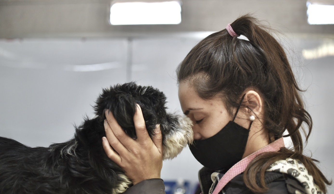 Dónde continúa la campaña municipal de castraciones | Información General